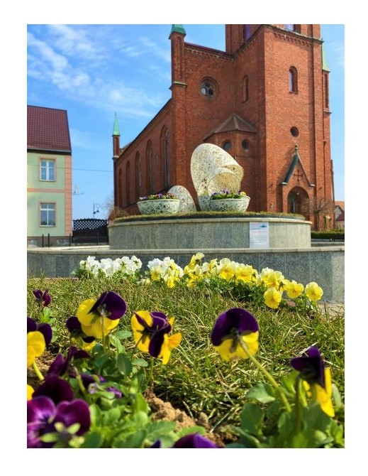 Nasadzenia kwiatów na Placu Wolności w Barwicach