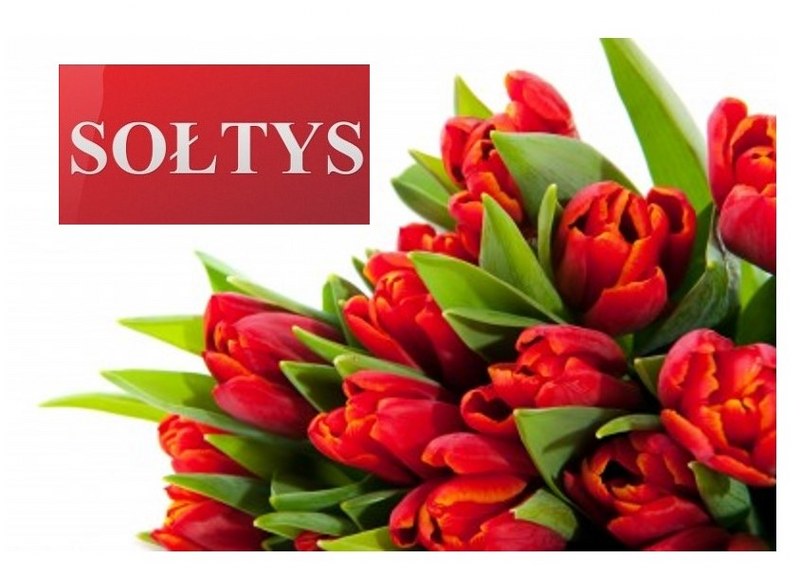 Kwiaty czerwone tulipany i tablica sołecka