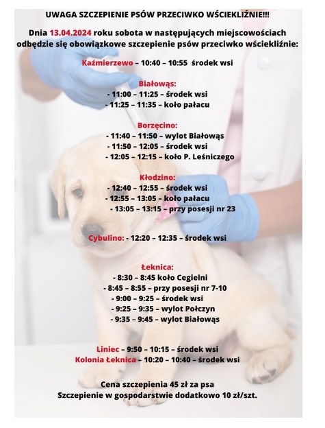 plakat informujący o szczepieniu psów