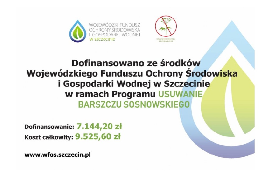 Usuwanie barszczu Sosnowskiego z terenu Gminy Barwice – etap I (2025)
