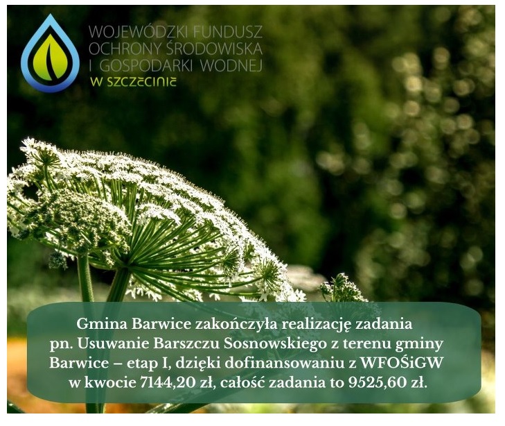 Plakat dotyczący usuwania barszczu sosnowskiego