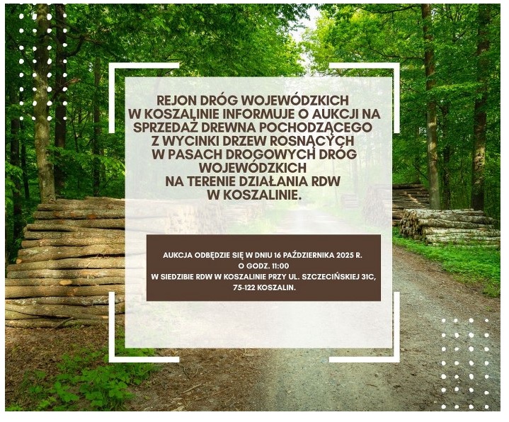 Plakat dotyczący aukcji drewna