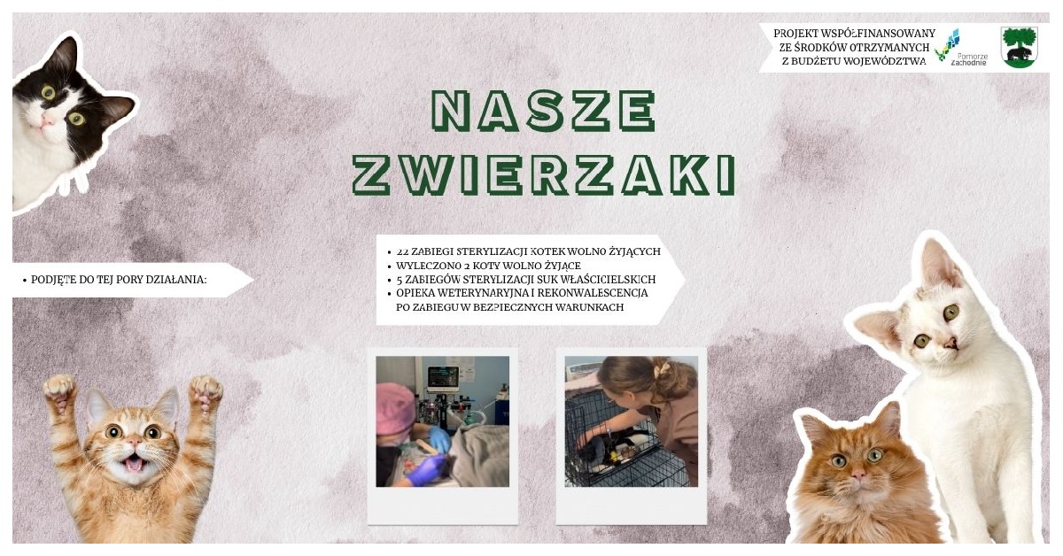 „Pomoc na cztery łapy” – realizacja programu Nasze Zwierzaki