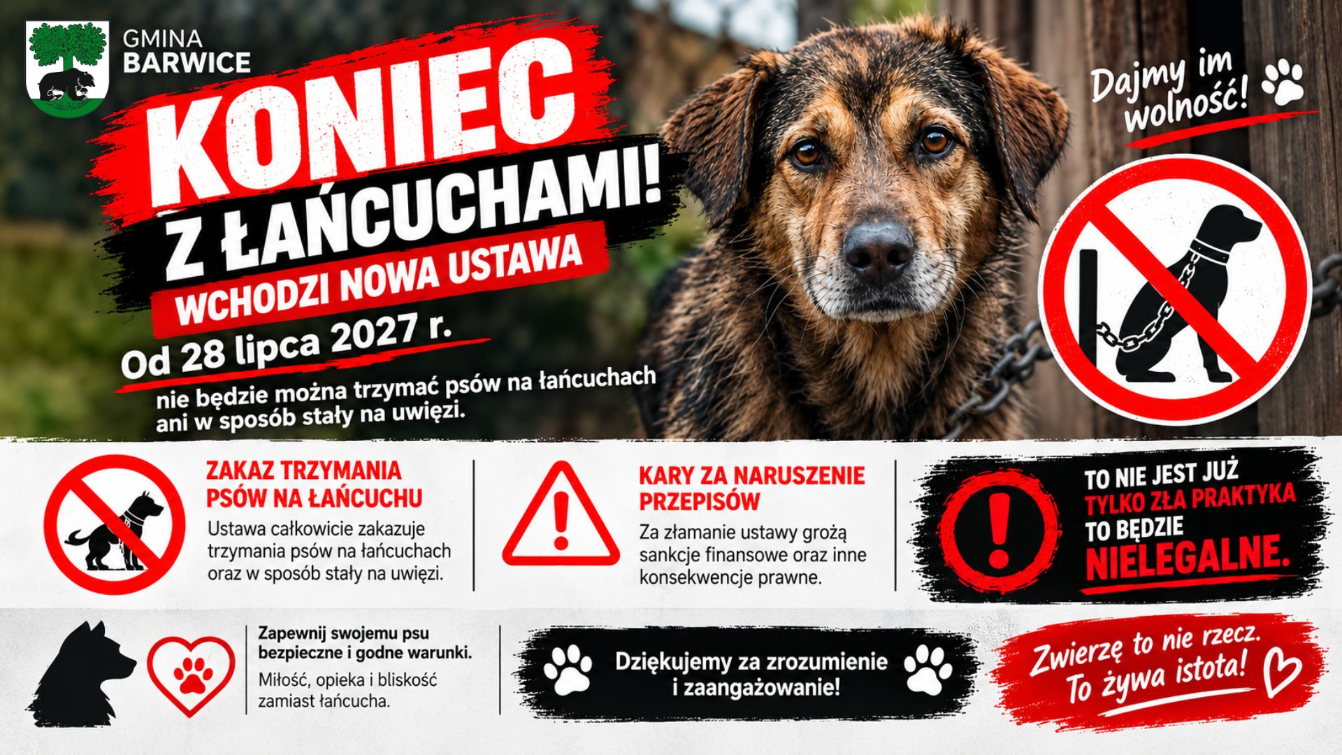 Nowe zasady utrzymywania psów i kotów od 28 lipca 2027 roku