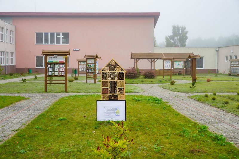 Barwne Barwice – edukacja, bioróżnorodność i ochrona zapylaczy