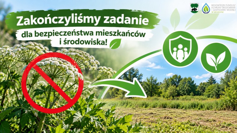 Grafika informująca o zakończeniu zadania polegającego na usuwaniu barszczu Sosnowskiego z terenu Gminy Barwice w 2026 roku. Przedstawia niebezpieczną roślinę przekreśloną czerwonym znakiem zakazu oraz zielony krajobraz symbolizujący ochronę środowiska i bezpieczeństwo mieszkańców.