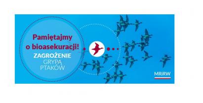 plakat informacyjny o ptasiej grypie
