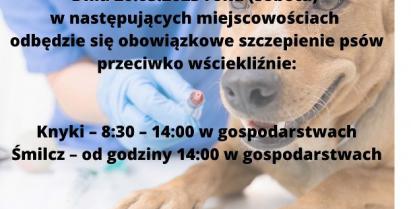 Plakat informacyjny o szczepieniu psów.