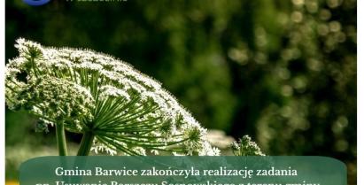 Plakat dotyczący usuwania barszczu sosnowskiego