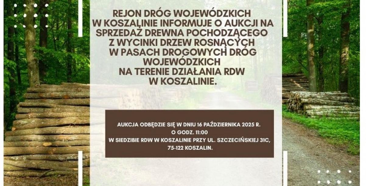 Plakat dotyczący aukcji drewna