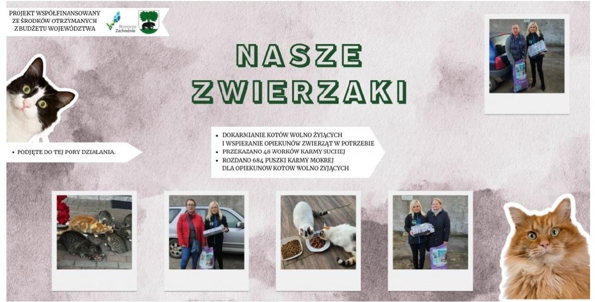 „Pomoc na cztery łapy” – realizacja programu Nasze Zwierzaki