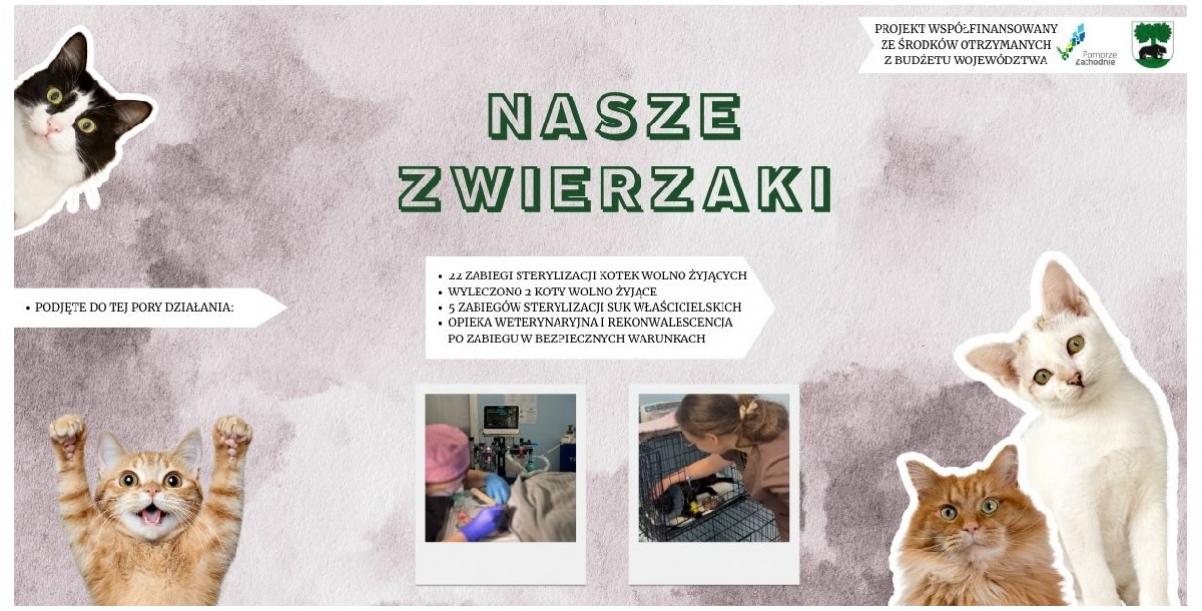 „Pomoc na cztery łapy” – realizacja programu Nasze Zwierzaki