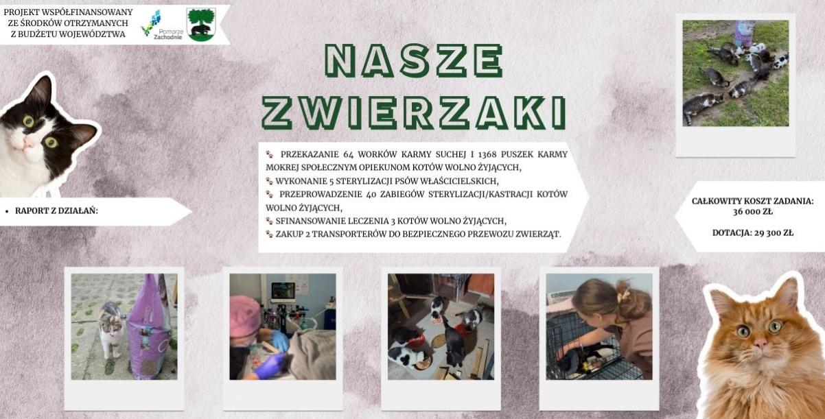 Podsumowanie programu „Nasze zwierzaki” w Gminie Barwice
