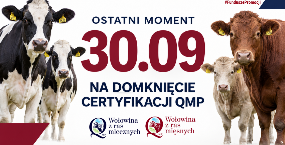 Certyfikat QMP – termin uzyskania upływa 30 września 2026 r.