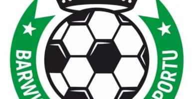 Logo -Barwicka Akademia Sportu