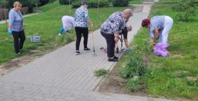 Seniorzy z klubu Senior Plus pielą i dosiewają łąkę kwiatową