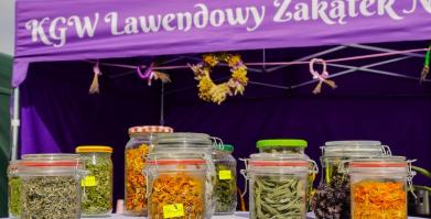 Dożynki Gminne w Barwicach 2025 – fotorelacja