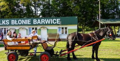 Dożynki Gminne w Barwicach 2025 – fotorelacja