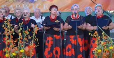 Dożynki Gminne w Barwicach 2025 – fotorelacja