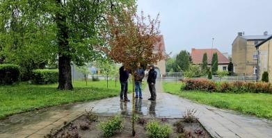 Plac A. Mickiewicza w Barwicach