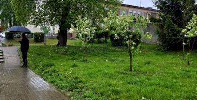 Plac A. Mickiewicza w Barwicach