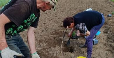 Warsztaty w ramach "Lawendowa nić sąsiedzka"