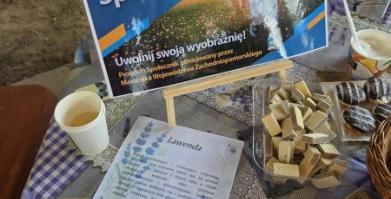 Warsztaty w ramach "Lawendowa nić sąsiedzka"