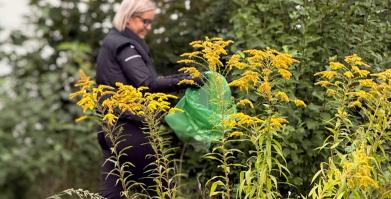 Akcja Sprzątania Świata w Gminie Barwice. Wspólnie zadbaliśmy o nasze otoczenie