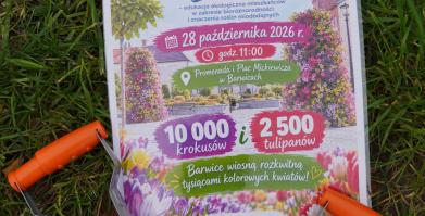 Barwne Barwice i Radomyślańskie Krokusy – wspólnie sadzimy kwiaty i dbamy o nasze otoczenie
