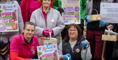 Barwne Barwice i Radomyślańskie Krokusy – wspólnie sadzimy kwiaty i dbamy o nasze otoczenie