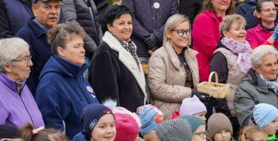 Barwne Barwice i Radomyślańskie Krokusy – wspólnie sadzimy kwiaty i dbamy o nasze otoczenie