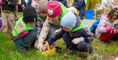 Barwne Barwice i Radomyślańskie Krokusy – wspólnie sadzimy kwiaty i dbamy o nasze otoczenie