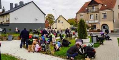 Barwne Barwice i Radomyślańskie Krokusy – wspólnie sadzimy kwiaty i dbamy o nasze otoczenie