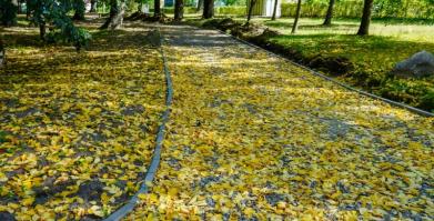 Park Miejski w Barwicach zmienia swoje oblicze