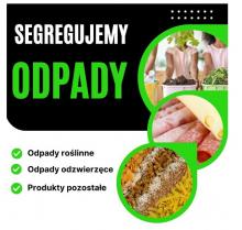 Segregujemy odpady