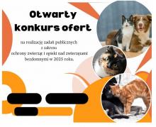 Otwarty konkurs ofert - ochrona zwierząt i opieka nad zwierzętami bezdomnymi.