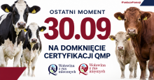 Certyfikat QMP – termin uzyskania upływa 30 września 2026 r.