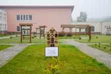 Barwne Barwice – edukacja, bioróżnorodność i ochrona zapylaczy
